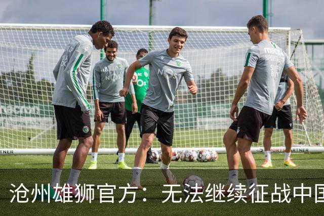 沧州雄狮官方：无法继续征战中国足球职业联赛
